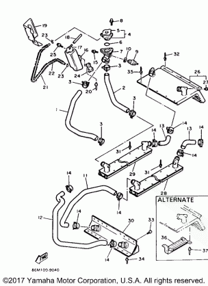 RADIATOR HOSE