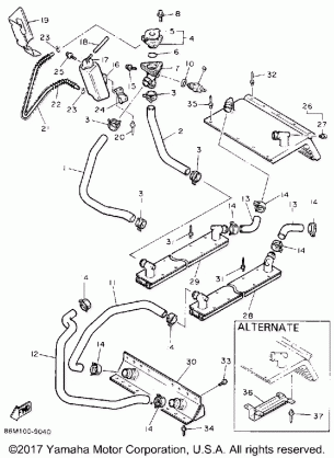 RADIATOR HOSE