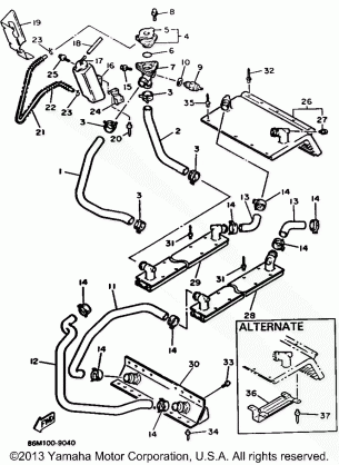 RADIATOR - HOSE