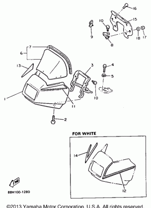 WINDSHIELD