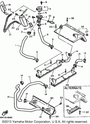 RADIATOR - HOSE