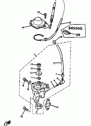 OIL PUMP BR250F - G