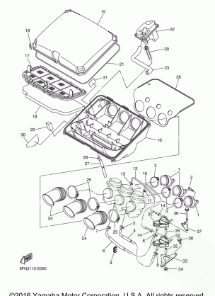 INTAKE