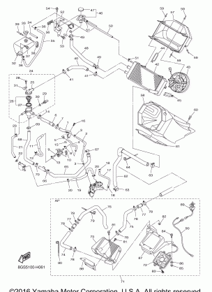 RADIATOR HOSE