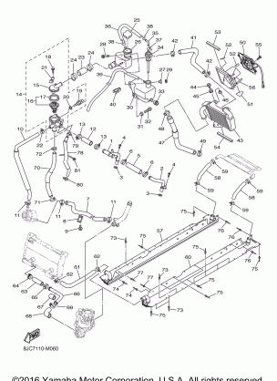 RADIATOR HOSE