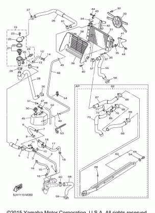 RADIATOR HOSE