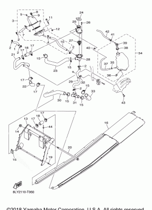 RADIATOR HOSE