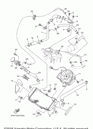 RADIATOR HOSE