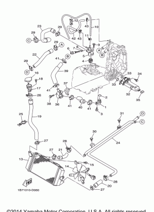 RADIATOR HOSE