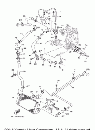 RADIATOR HOSE