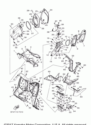 LEG SHIELD