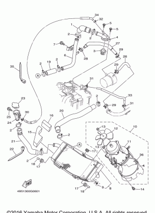 RADIATOR HOSE