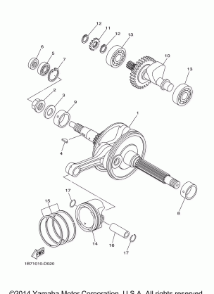 CRANKSHAFT PISTON