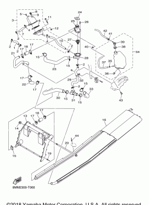 RADIATOR HOSE