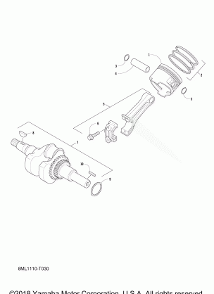 CRANKSHAFT PISTON