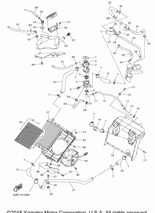 RADIATOR HOSE