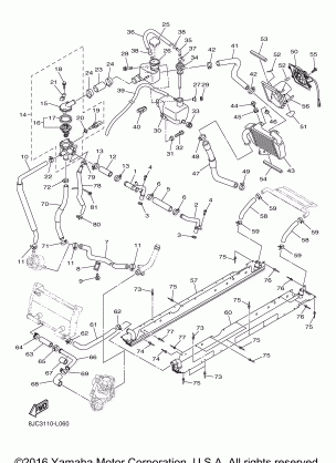 RADIATOR HOSE