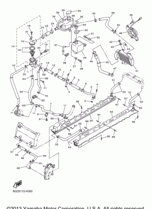 RADIATOR HOSE