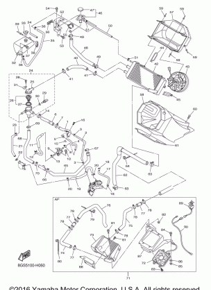 RADIATOR HOSE