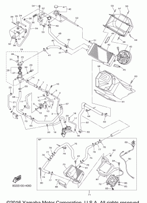 RADIATOR HOSE