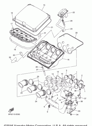 INTAKE