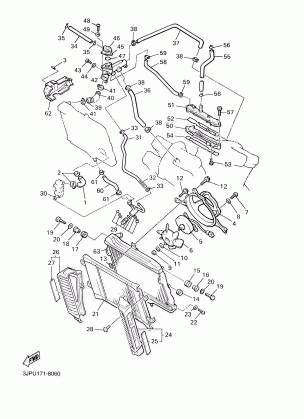 RADIATOR HOSE