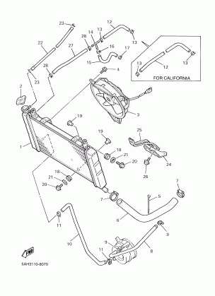 RADIATOR HOSE