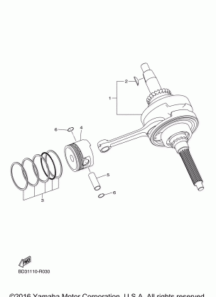 CRANKSHAFT PISTON