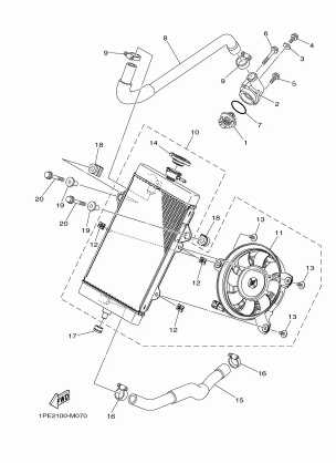 RADIATOR HOSE