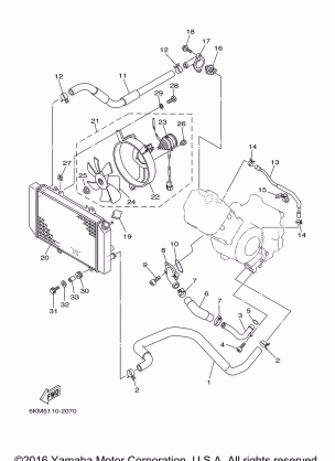 RADIATOR HOSE