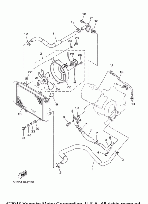 RADIATOR HOSE