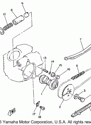 CAMSHAFT - CHAIN