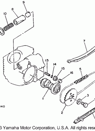 CAMSHAFT - CHAIN