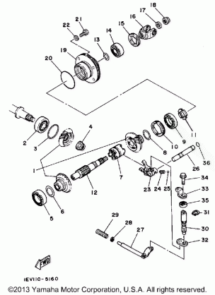 MIDDLE DRIVE GEAR