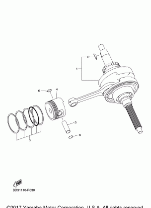 CRANKSHAFT PISTON