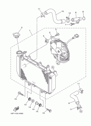 RADIATOR HOSE