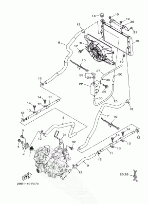 RADIATOR HOSE