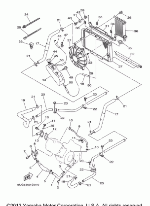 RADIATOR HOSE