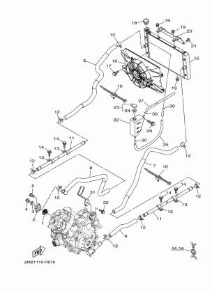 RADIATOR HOSE