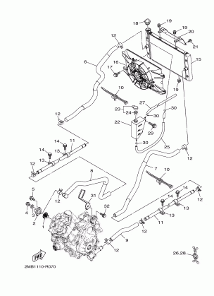 RADIATOR HOSE