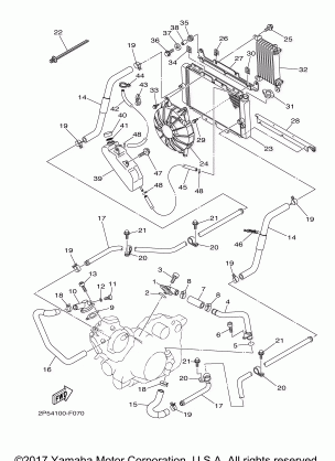 RADIATOR HOSE